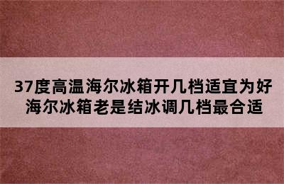 37度高温海尔冰箱开几档适宜为好 海尔冰箱老是结冰调几档最合适